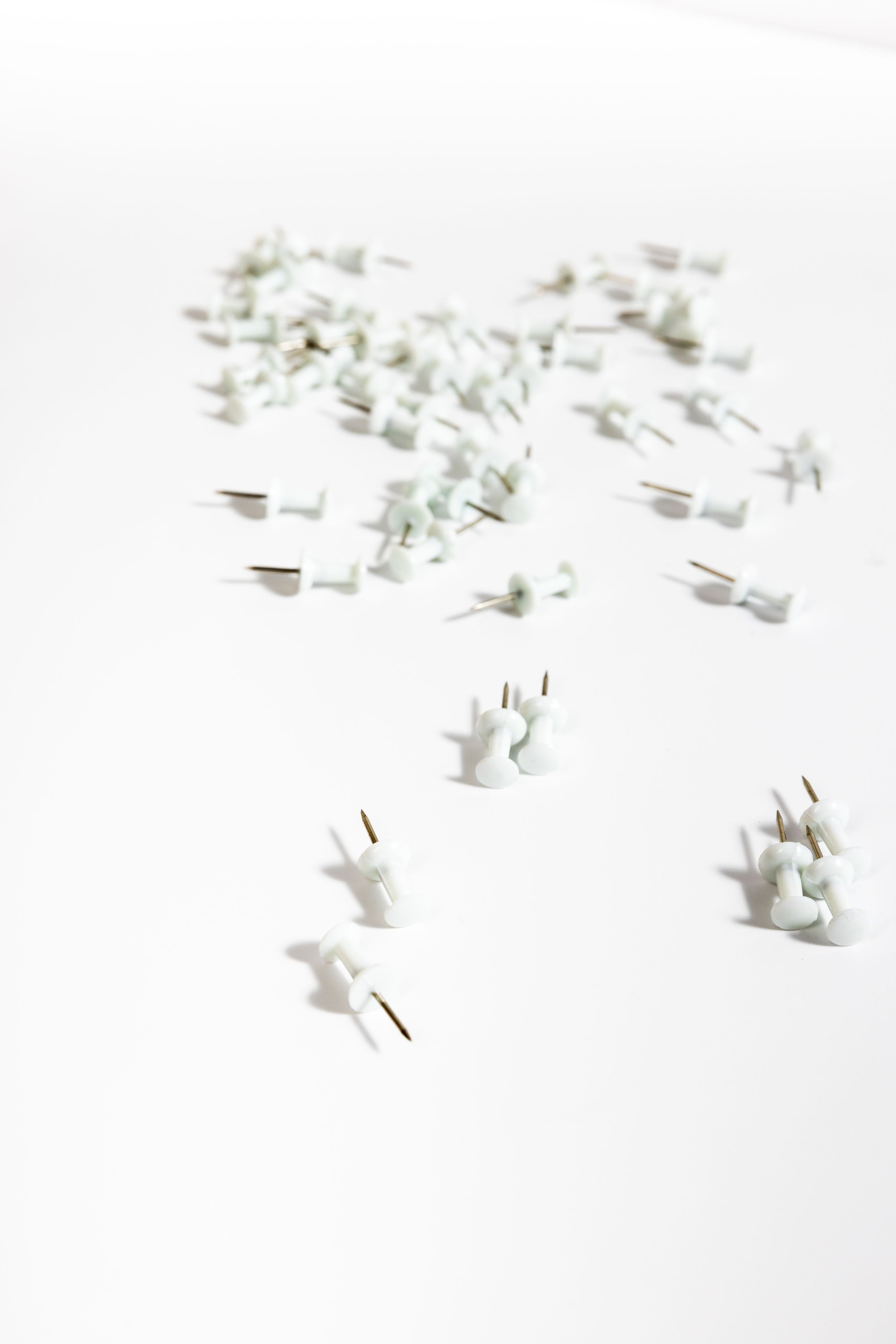 Poppin White Push Pins 100420